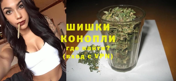 твердый Богданович