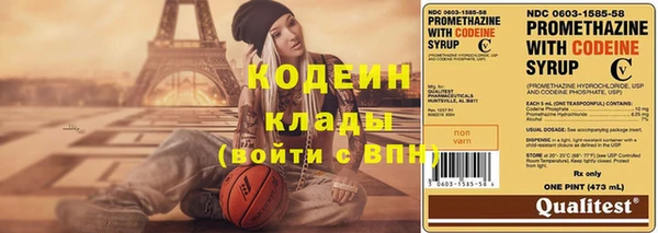 индика Богородицк
