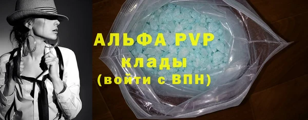 твердый Богданович