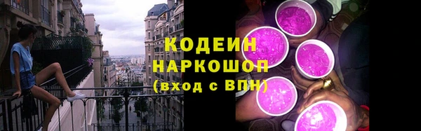 твердый Богданович