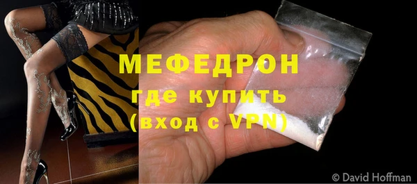 индика Богородицк