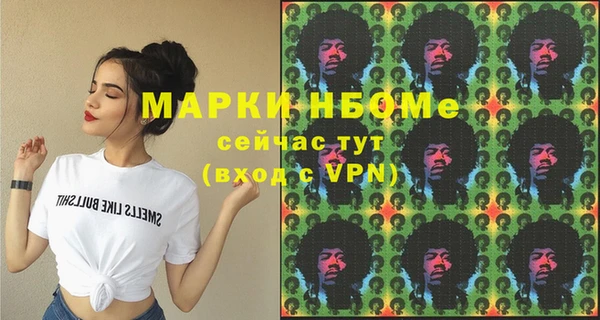твердый Бородино