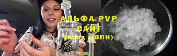 индика Богородицк