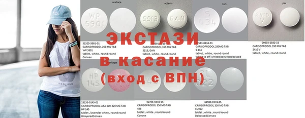 индика Богородицк