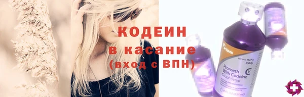 индика Богородицк