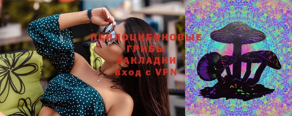 винт Богородск