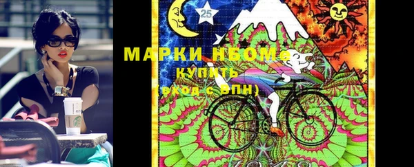 индика Богородицк