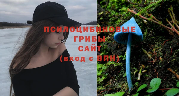индика Богородицк