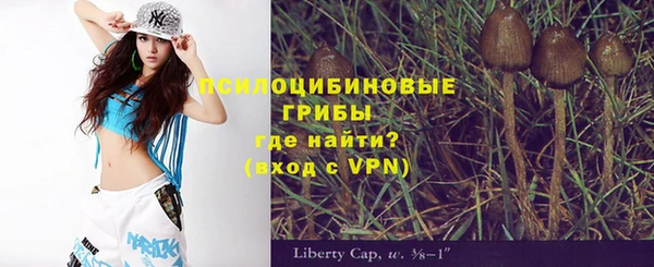 индика Богородицк