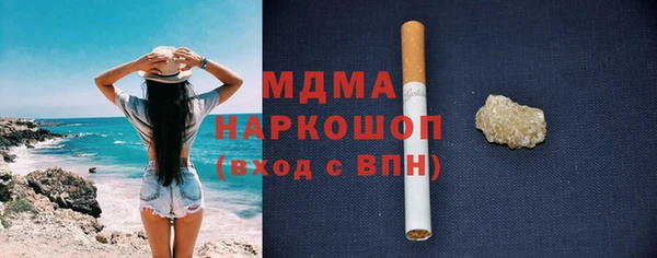 индика Богородицк