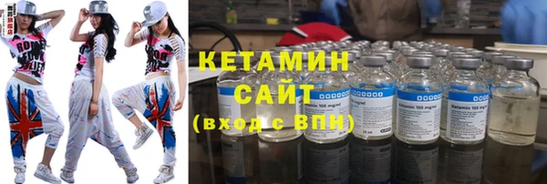 индика Богородицк