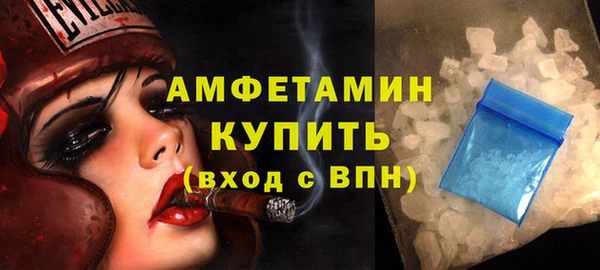 индика Богородицк