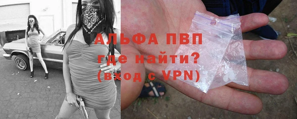 индика Богородицк