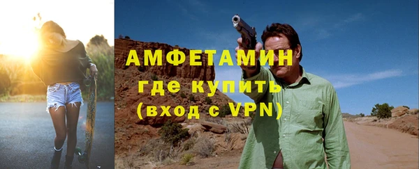индика Богородицк