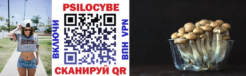 ОМГ ОМГ онион  Киреевск  Галлюциногенные грибы GOLDEN TEACHER 